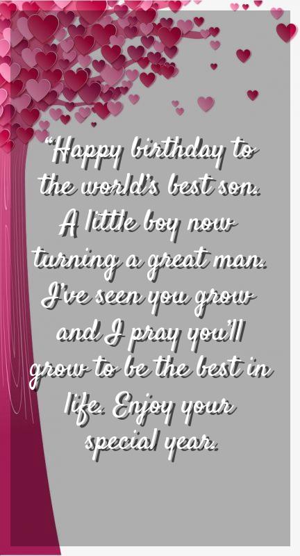 son in law birthday wishes